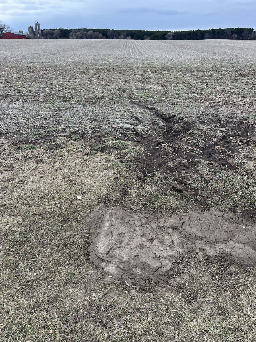 Following inspiration from <a href="/TZimmermanfarms/">Tyler Zimmerman</a> I sampled soil in ditch from spring runoff. No-till &amp; CC rye for last 5 yrs. Field ave P: ~25ppm, K ~120ppm.  Test shows sediment is remarkably concentrated in plant groceries. I suspect a more robust stand of rye woulda slowed this