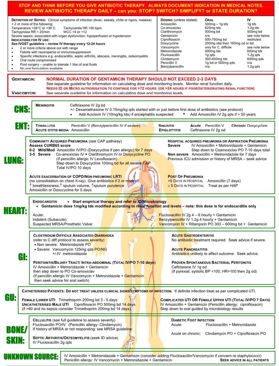 OGdukeneurosurg's tweet image. Antibiotics by systems