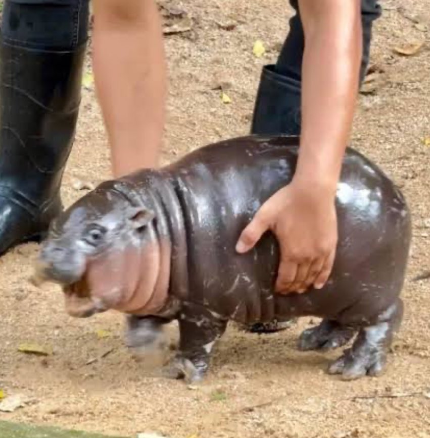 อ้ากกกกก อย่ามาจับหนูนะ