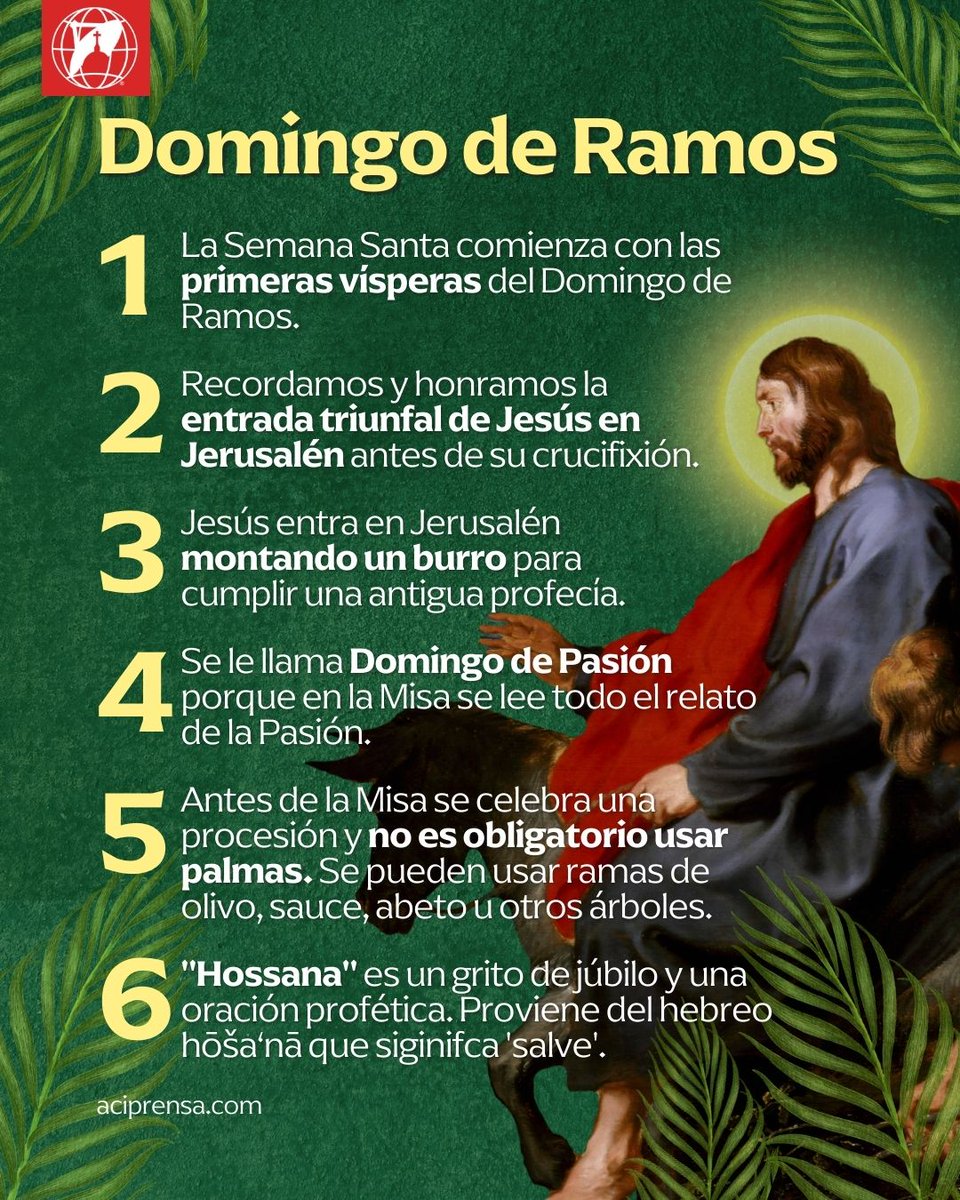 aciprensa's tweet photo. Preparemos el corazón para recibir la Semana Santa. ❤️🙏

El Domingo de Ramos, que este año es el 13 de abril, da inicio a la #SemanaSanta2025, que culmina con la Pascua de Resurrección, el centro de nuestra fe. Aquí todo lo que debes saber sobre esta importante celebración:

1. La Semana Santa comienza con las primeras vísperas del Domingo de Ramos, un episodio de la vida de Jesús que profetiza su triunfo pascual y anuncia su Pasión.

2. En esta fecha honramos la entrada triunfal de Jesús en Jerusalén, que fue recibido por una multitud que lanzaba vítores y agitaba ramas de palma. En el Evangelio de San Mateo se narra que la gente alfombraba el camino por el que pasó Cristo.

3. Jesús entra en Jerusalén montando un burro para cumplir una antigua profecía. El Papa Benedicto XVI explicó que Cristo reclamó el derecho real de los reyes al usar en su entrada a Jerusalén un animal en el que nadie se había sentado (el burro), pues quería que la multitud entienda que las promesas del Antiguo Testamento estaban cumplidas en Él.

4. Al Domingo de Ramos también se le llama Domingo de Pasión, porque en la Misa se lee todo el relato de la Pasión de Cristo, que goza de una especial solemnidad en la liturgia.

5. Antes de la Misa se celebra una procesión y no es obligatorio usar palmas. Se puede usar otras plantas locales como olivo, sauce, abeto u otros árboles, que tras ser bendecidos son conservados en los hogares o trabajos de los fieles.

6. "¡Hosanna! ¡Bendito el que viene en el nombre del Señor!" gritaba la multitud jubilosa al recibir a Jesús. "Hosanna" era una alabanza alegre a Dios en el momento de la entrada procesional que expresaba la esperanza de que el Mesías había llegado y a la vez, una oración que indicaba que el reinado davídico, y por lo tanto el reinado de Dios sobre Israel, sería restablecido.

Más información:
👉 https://t.co/s5Q4Ed4tEr