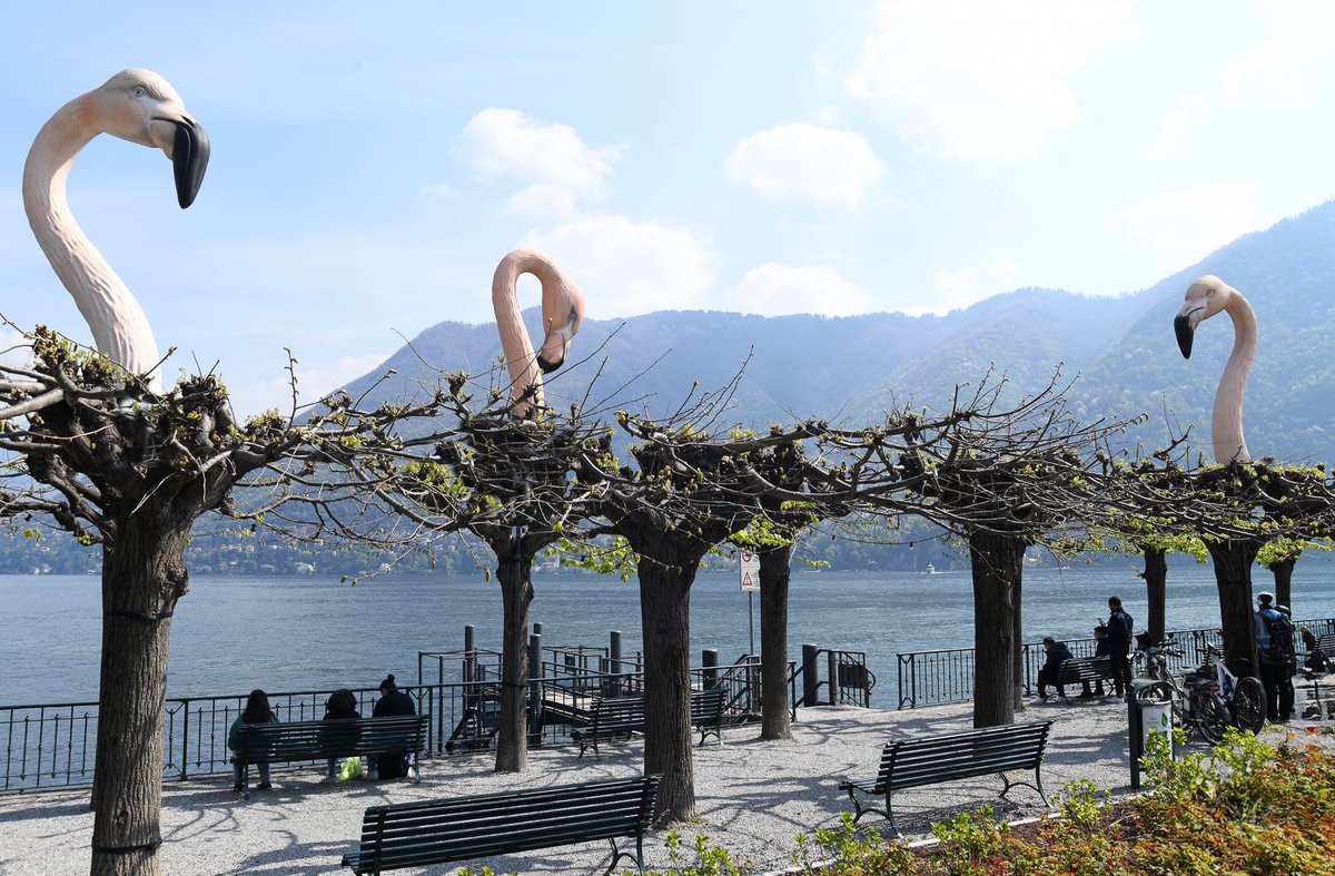 comolake_today's tweet photo. Cernobbio has officially opened its latest cultural event, Il viaggio del rinoceronte e il paradosso del tempo, an open-air exhibition by Italian sculptor Stefano Bombardieri: https://t.co/fCHcFRcHZe

#comolaketoday #lakecomo #modernart https://t.co/u8nLVNG8cA