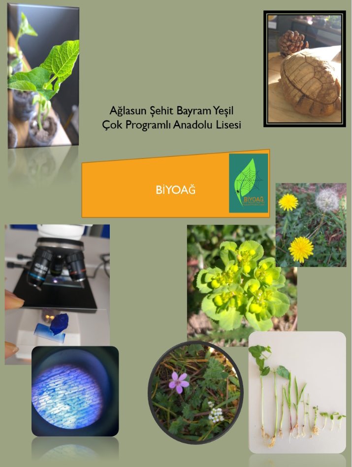 Ağlasun Şehit Bayram Yeşil ÇPALisesi (@sbycpal15) on Twitter photo 