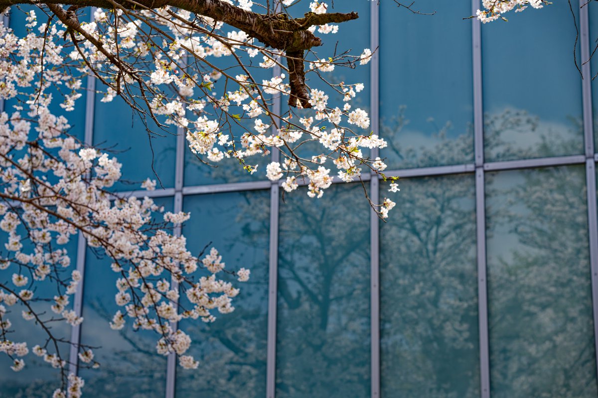 DsovG's tweet photo. SONY α7CR
┗ 50-300mm F/4.5-6.3 Di III VC VXD

#カメラ #写真 #camera #Photos #Japan https://t.co/LMSEkH1dQb