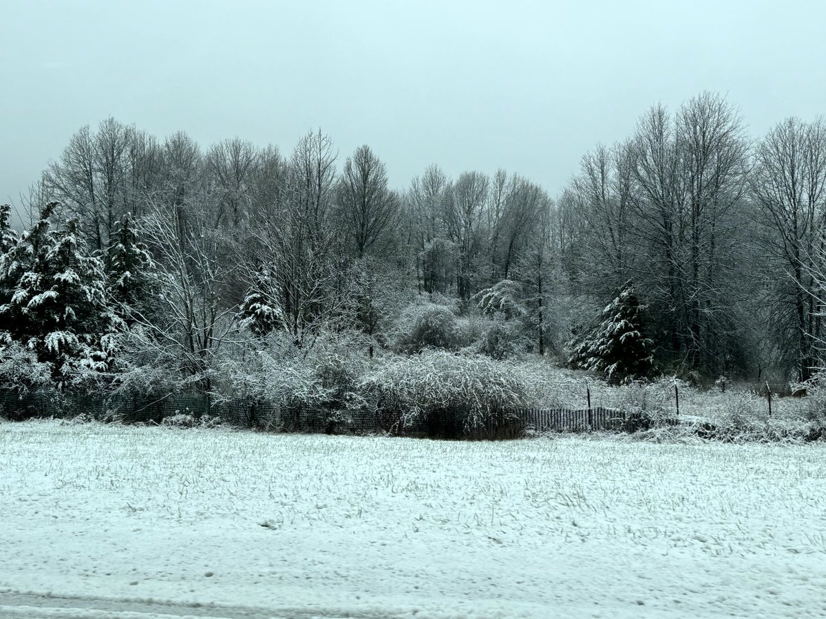 Tracy Munford tweet media