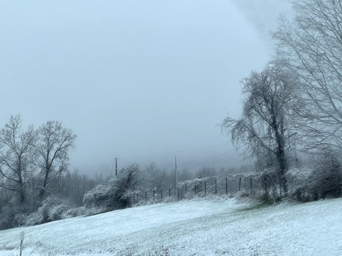 Tracy Munford tweet media