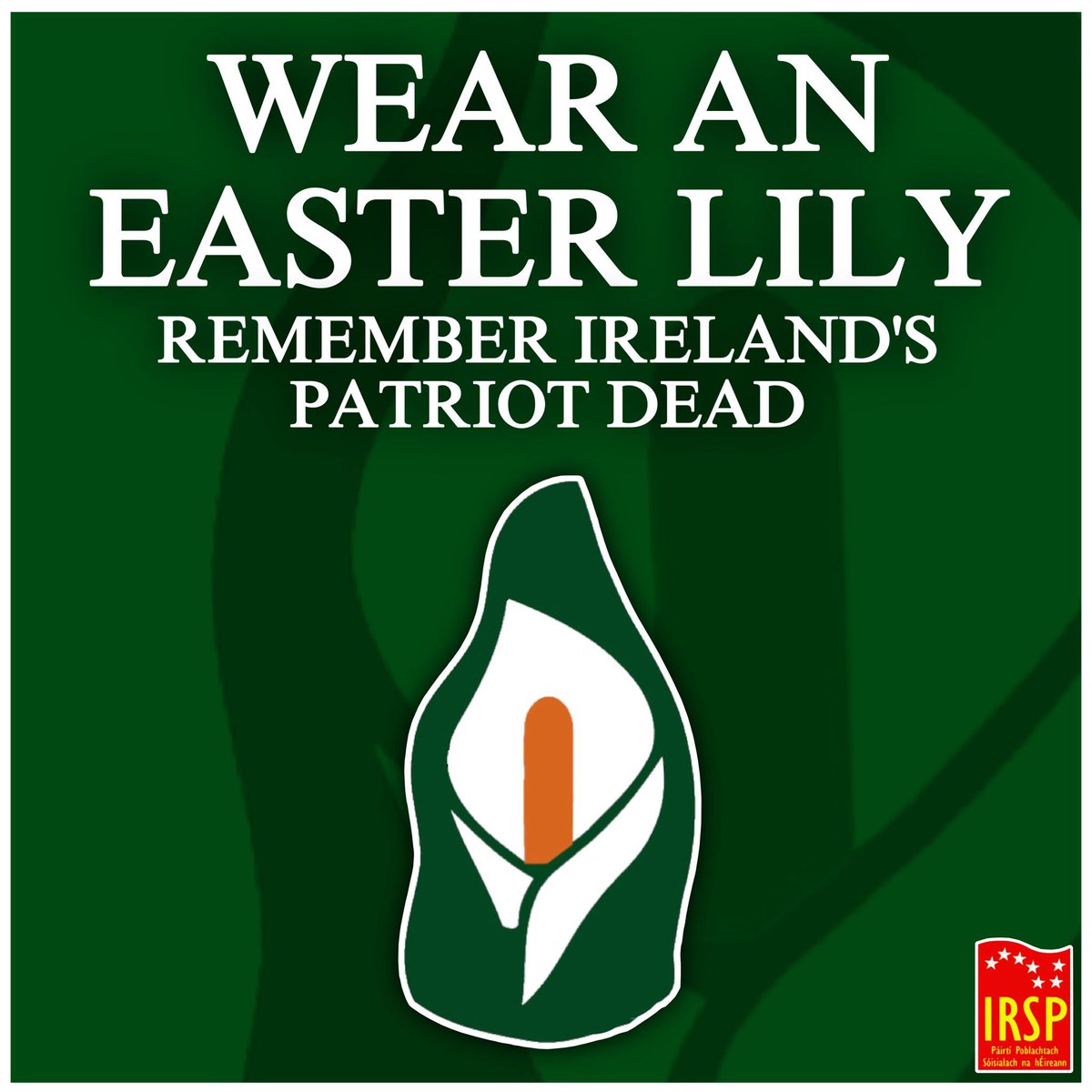 YES For Irish Unity tweet media