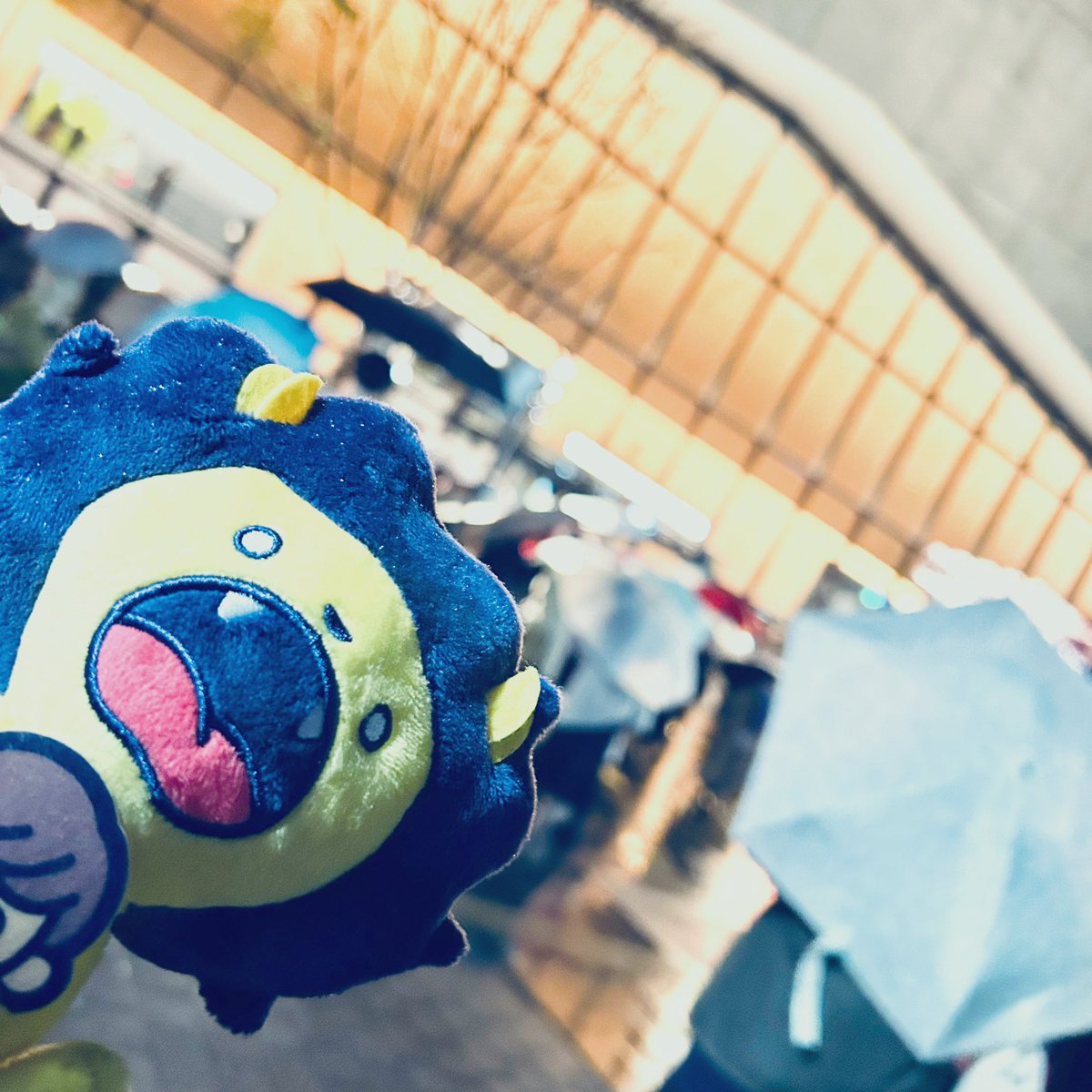 古川さんのライブ行ってきた〜！
カレイドスコープっていう春テーマのとっっっっっても素敵な曲があるんですが、如何せんタイトル聞く度横顔の白ひげのおじさんが脳裏にチラつきます