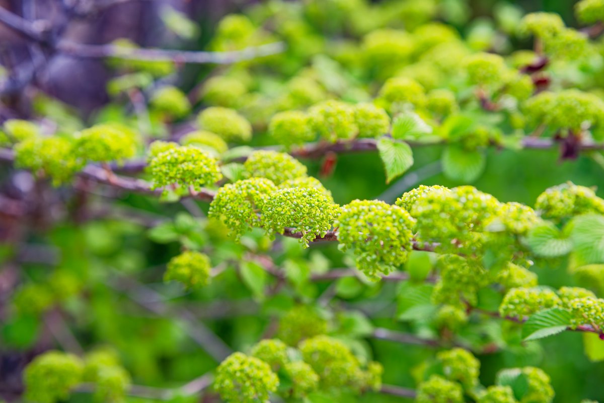 DsovG's tweet photo. SONY α7CR
┗ 50-300mm F/4.5-6.3 Di III VC VXD

#カメラ #写真 #camera #Photos #Japan https://t.co/bPhBmM0Tw5