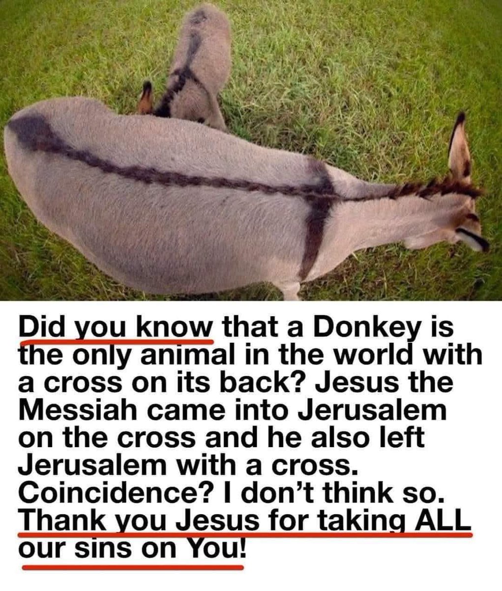 Sandi (@sandihkaye) on Twitter photo 