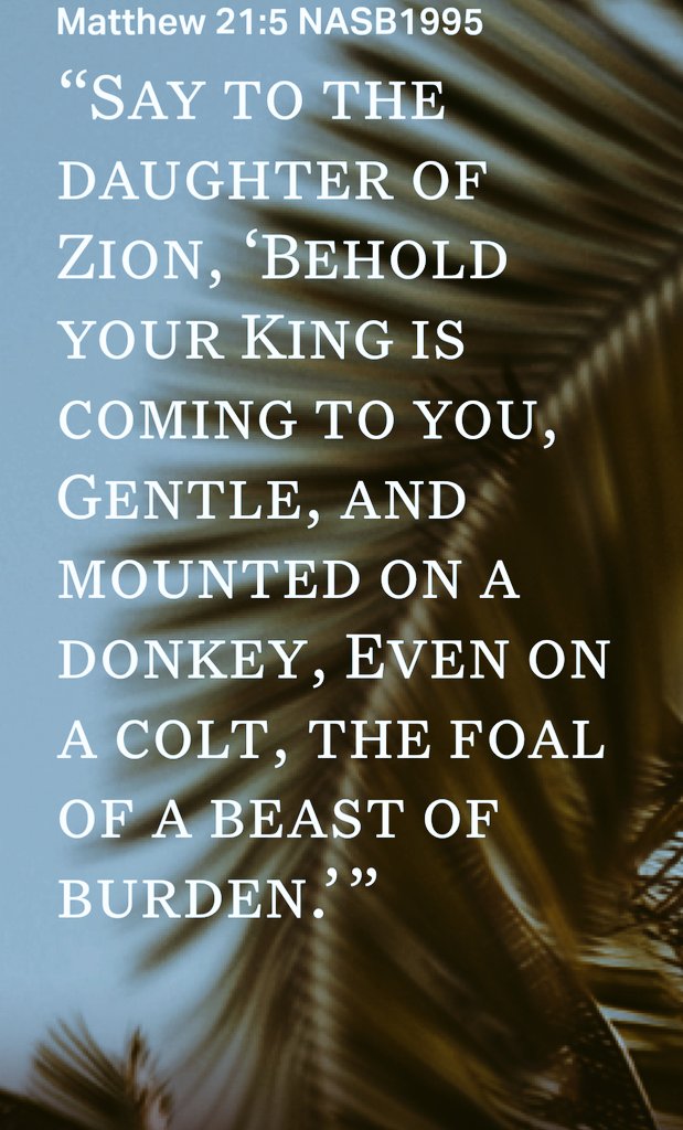 Fernando De Velasco tweet media