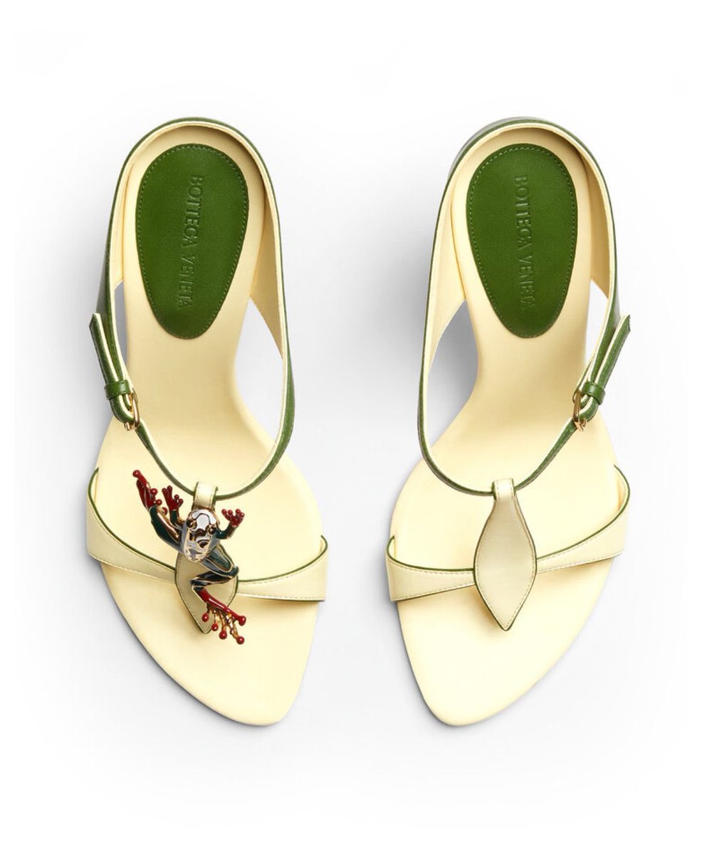 trybejpg's tweet photo. Bottega Veneta Rana Mule https://t.co/3q4hdT0oC6