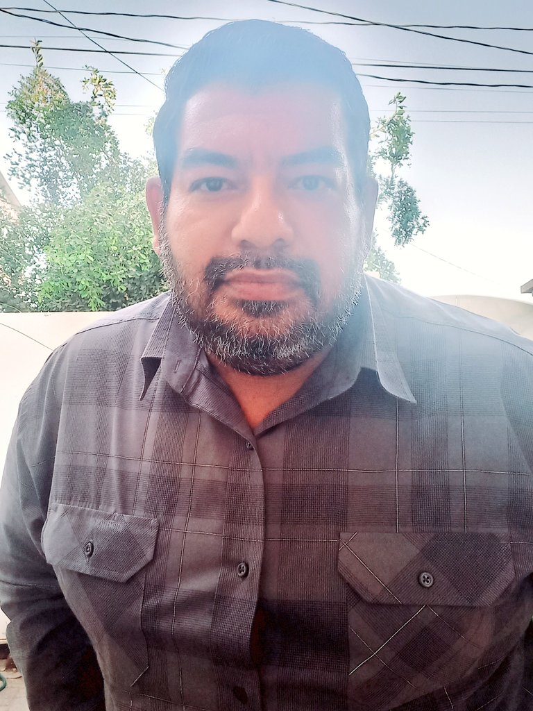 SalvadorGM tweet media