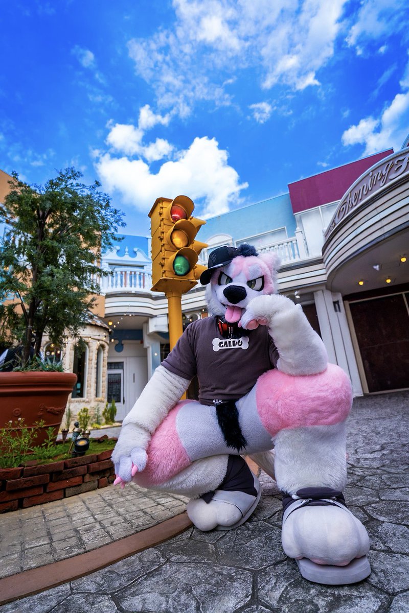 Howdy~!

📸<a href="/jin_keep77/">じん_きーぷ</a>