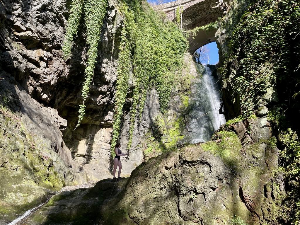 clzare's tweet photo. When you find a hidden gem 🍃 https://t.co/YMU1EELAMH