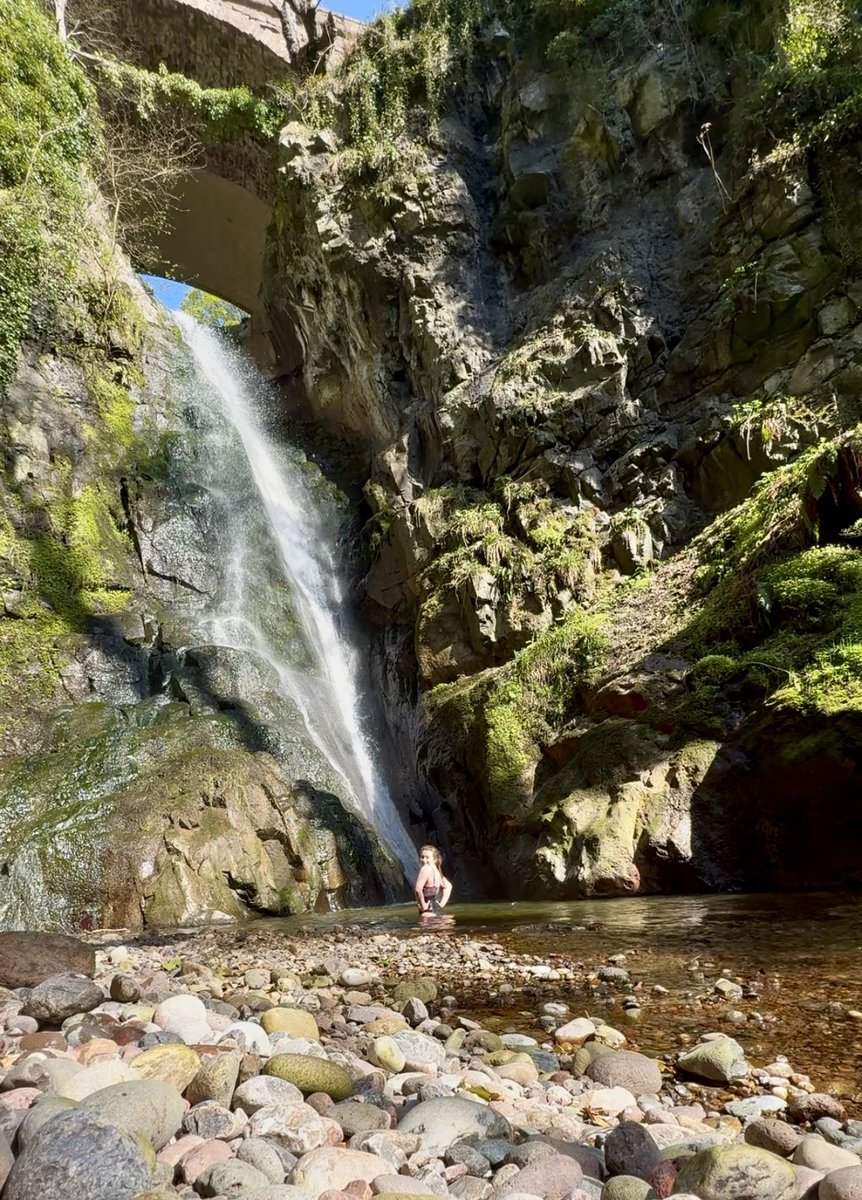 clzare's tweet photo. When you find a hidden gem 🍃 https://t.co/YMU1EELAMH