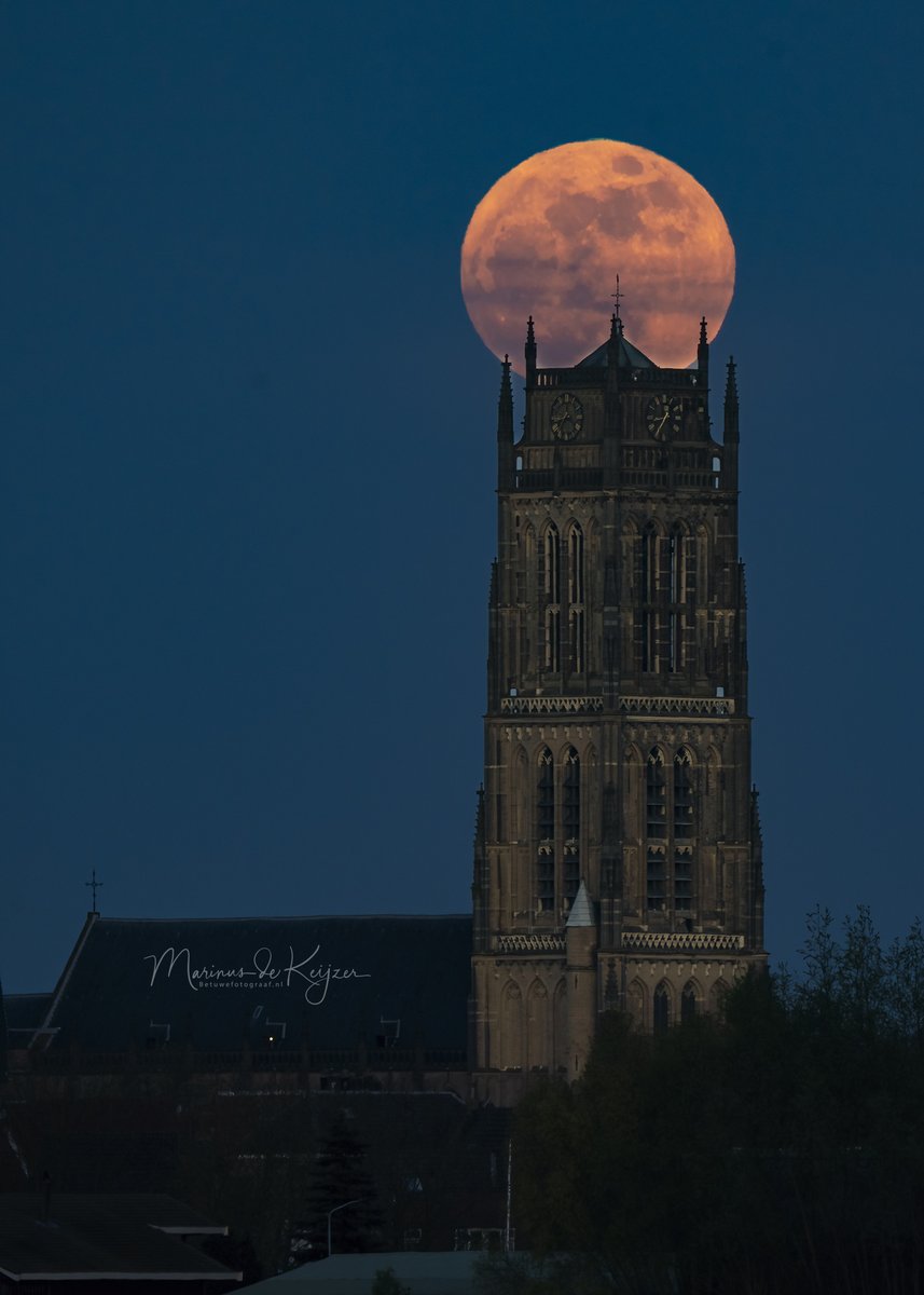 Gisterochtend de vollemaan ondergang op de gevoelige plaat gezet in Asperen en gisteravond de Volle maan opkomst boven de Sint-Maartenskerk in Zaltbommel ( welke kies je ) #maan <a href="/gem_zaltbommel/">Gemeente Zaltbommel</a> <a href="/BommelerwaardN/">BommelerwaardNet | Sterk in de streek!</a>