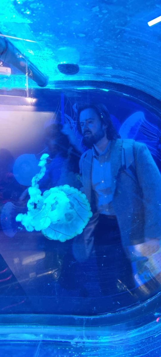 Deano Dirtbox tweet media