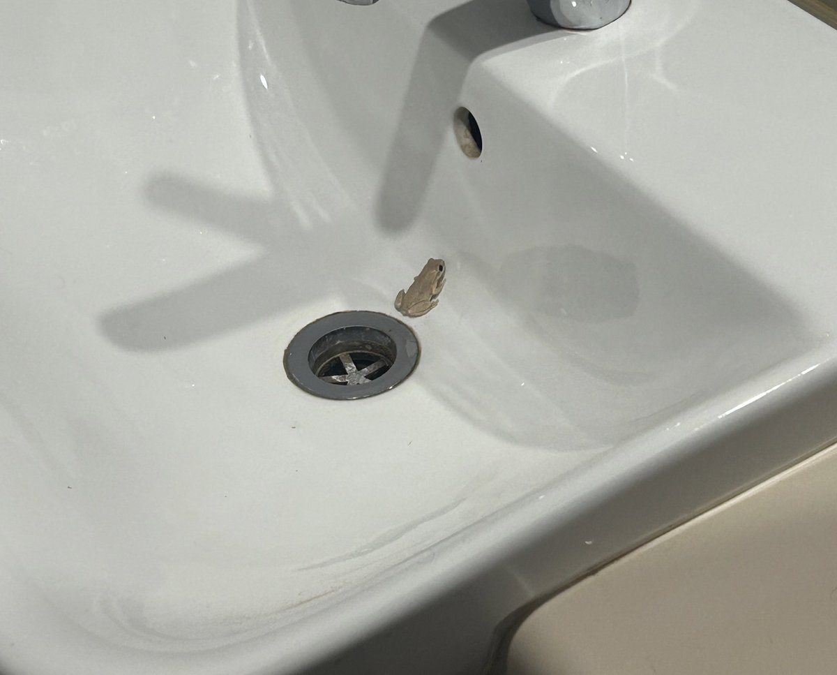 spochadoir's tweet photo. Oh your car got towed? same thing happened to my sink fella https://t.co/ur4oWwbkjG