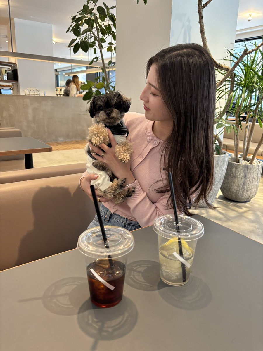 paruchankyon's tweet photo. 5月末、東京から名古屋にお引越しします🏠🌱

東京でお世話になった皆さん、
本当にありがとうございました🎀🧡

新天地でもててまると共に主人を
全力でサポートしたいと思います👦🏼⚽️
これからもよろしくお願いします♡ https://t.co/uaAcXaVCgz