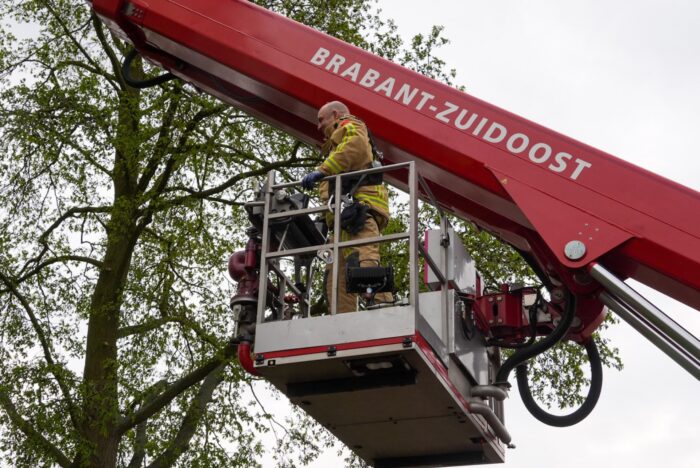 Duif gered in Helmond door brandweer