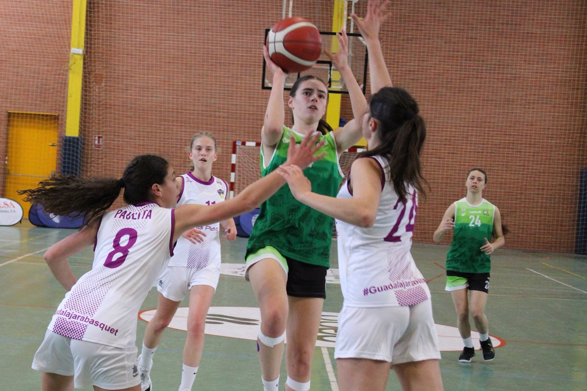 fbclm's tweet photo. #LigaUCLM🚺 | Final Q3 | Jornada 3
🏀@CEIToledo 36-36 @GuadaBasket 
💻Streaming👇
https://t.co/OUe5JfgnYU
📊STATS by @SwishAllHoops
📸Flickr FBCLM
#PasionXBasketCLM https://t.co/HbVeqF5C6h