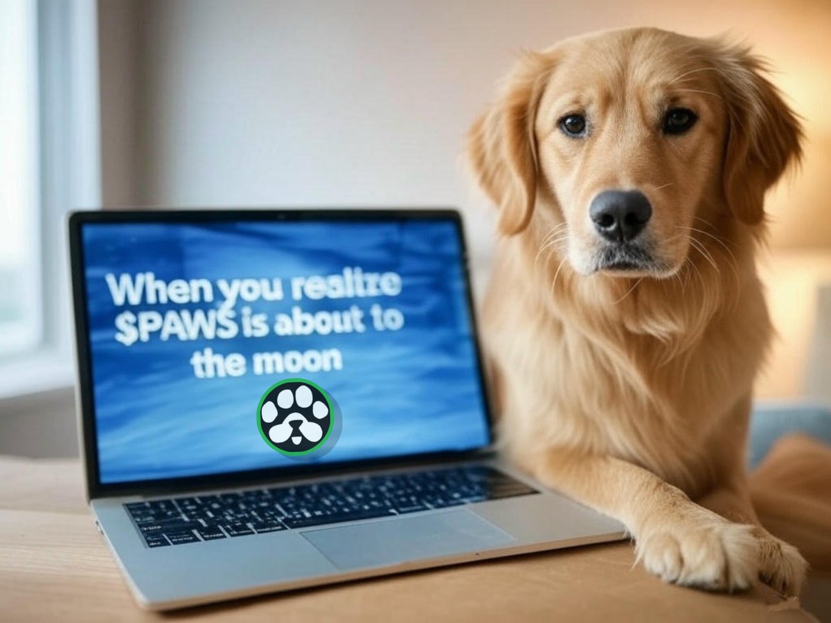 themogal666's tweet image. Me trying to act normal while $PAWS is getting ready for listing day. #CryptoMemes #PAWSarmy $PAWS