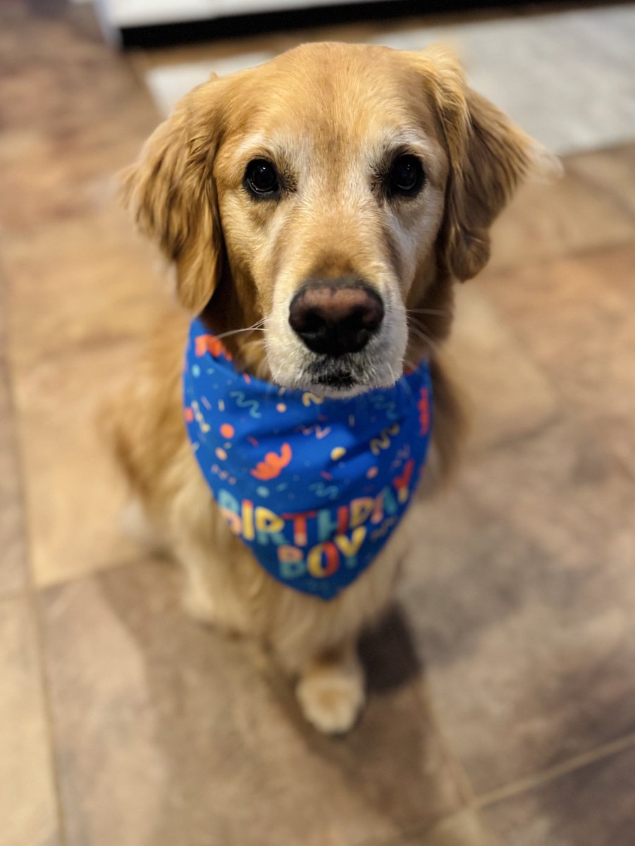 Today’s my birthday! I’m seven years old 🥳🎉