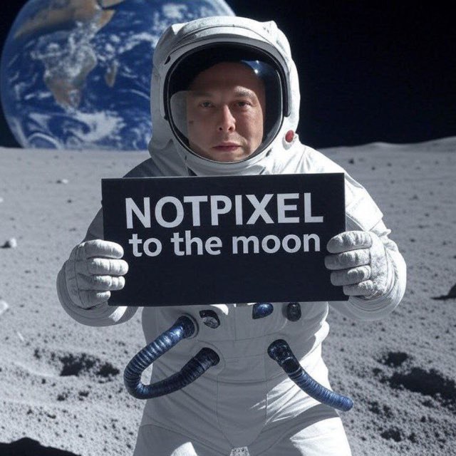 viitololo's tweet photo. God Bless the @notpixelx 🙏❤️‍🔥 https://t.co/nm1bW9xBMq