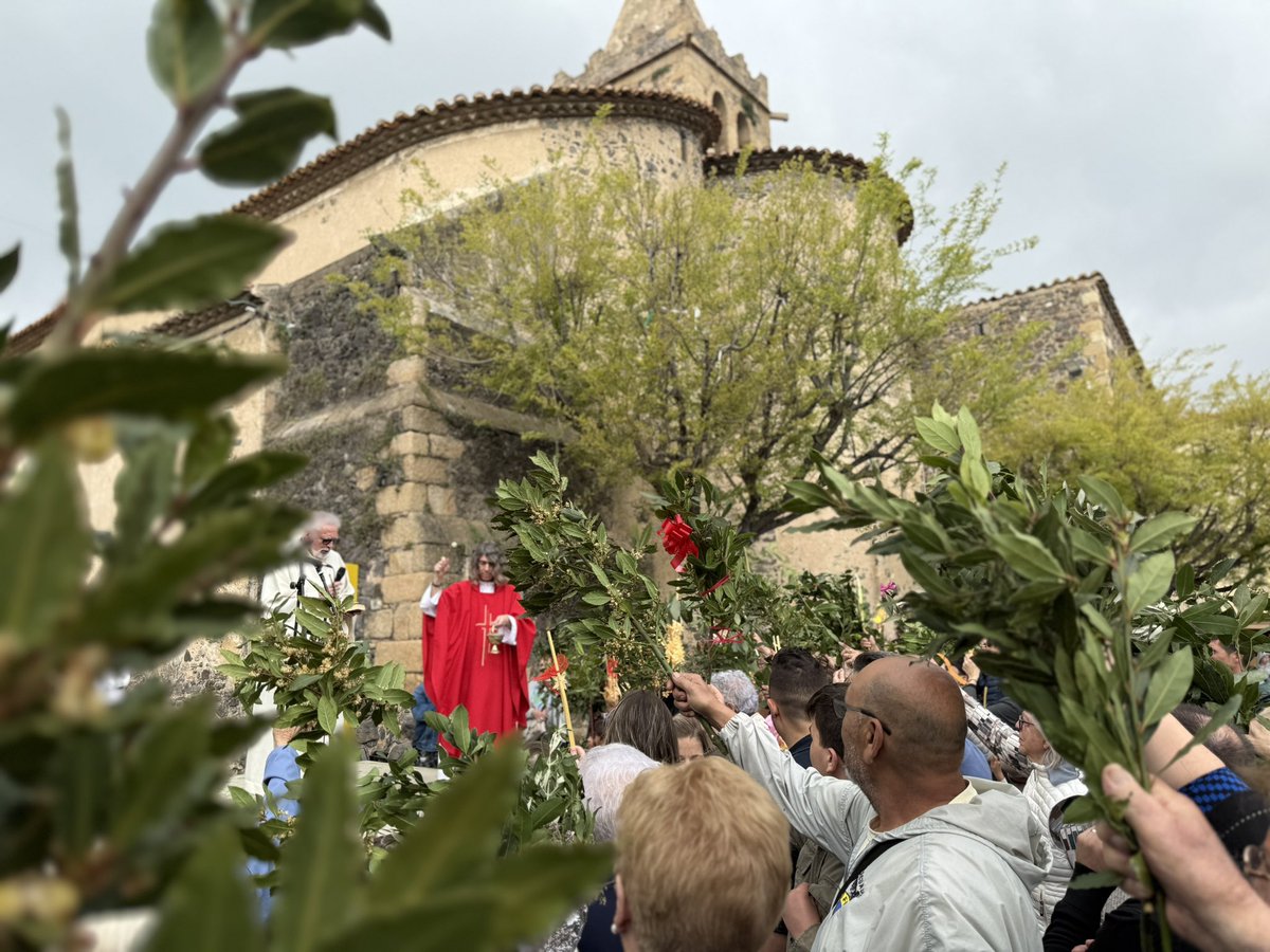 NataliaFigueras's tweet photo. 🌾
Diumenge de Rams
Amb l’avi a beneir el #Llor
📍Plaça de l’Església
#SetmanaSanta
#Tradicions https://t.co/hgNCxjFuCp