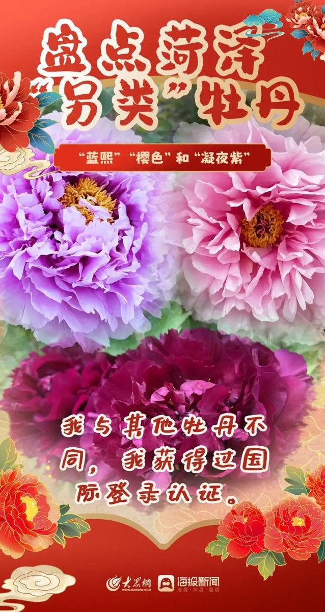 菏泽牡丹已盛开，喜迎八方来客