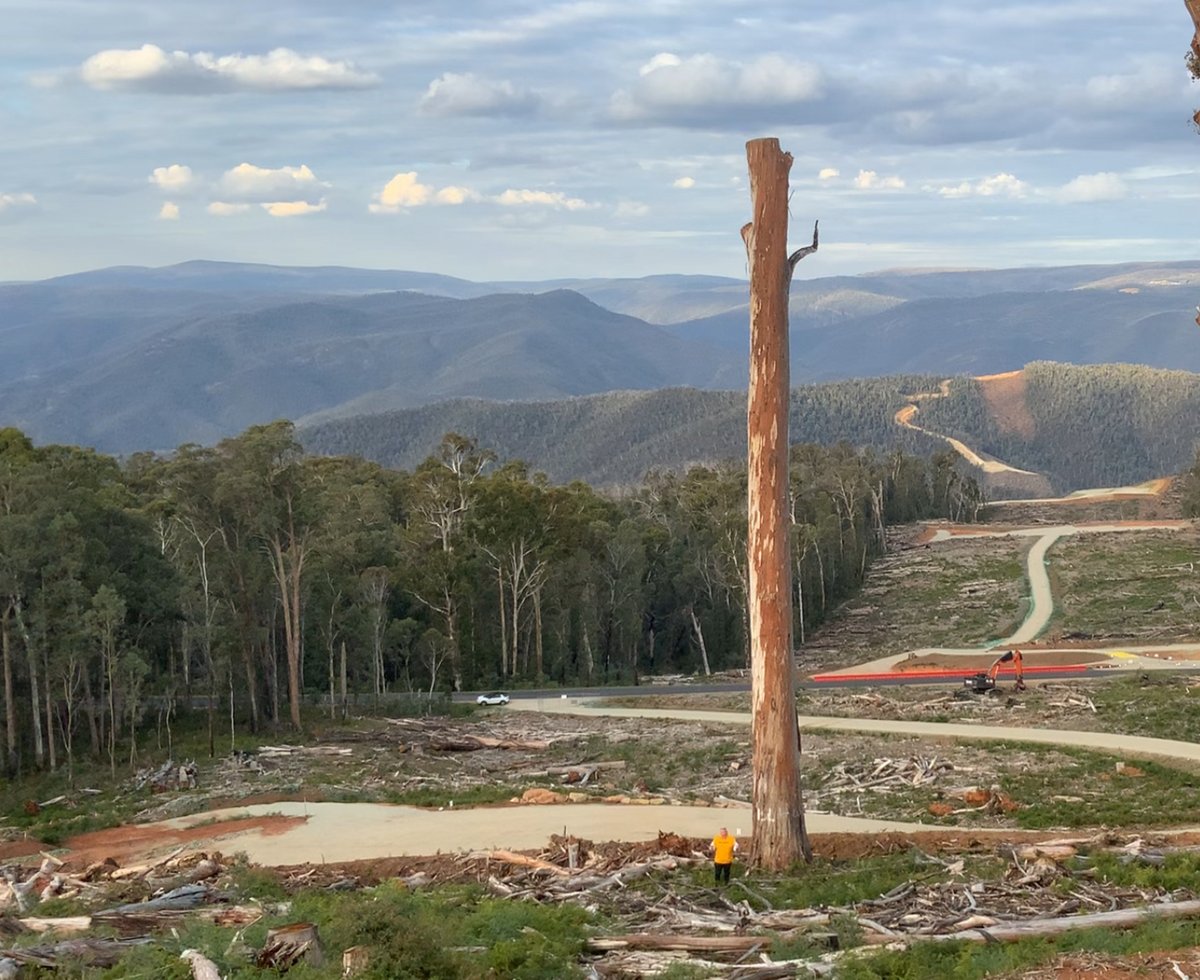 Craig Kelly:🇦🇺Foundation for Economic Education tweet media