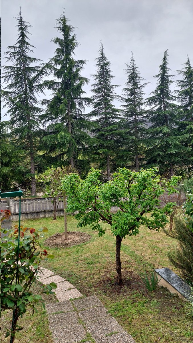 CAMPAGNOLI73's tweet photo. Vista sul giardino da Cà  Campa, in una giornata piovosa https://t.co/O273wCr52U