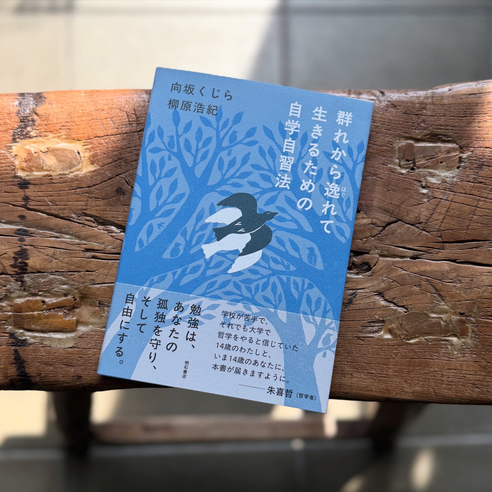 谷口隆 (@sugakujima) / X
