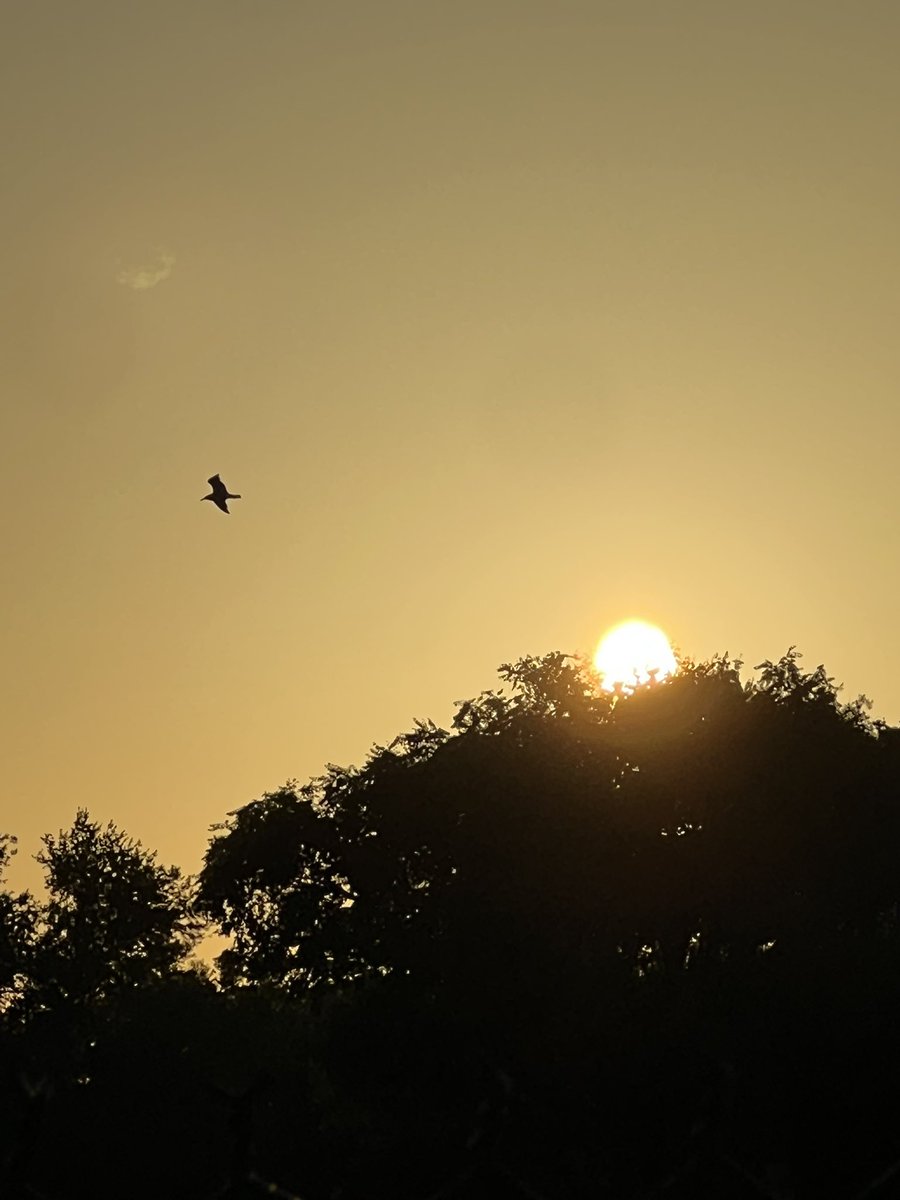 alonevr999's tweet photo. I love taking pics for real, it’s like therapy honestly. #sunpics #sun #NaturePhotography https://t.co/1SvsRab1XO