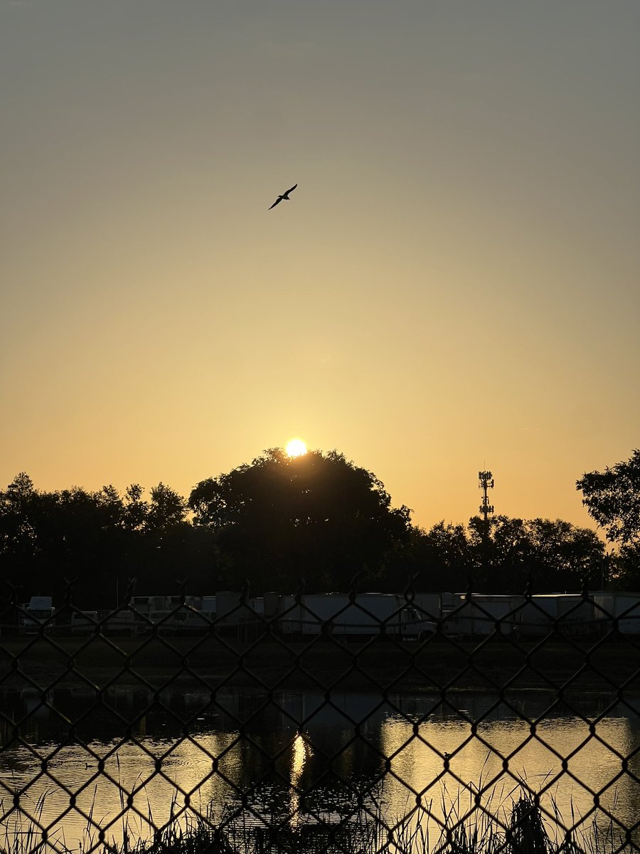 alonevr999's tweet photo. I love taking pics for real, it’s like therapy honestly. #sunpics #sun #NaturePhotography https://t.co/1SvsRab1XO