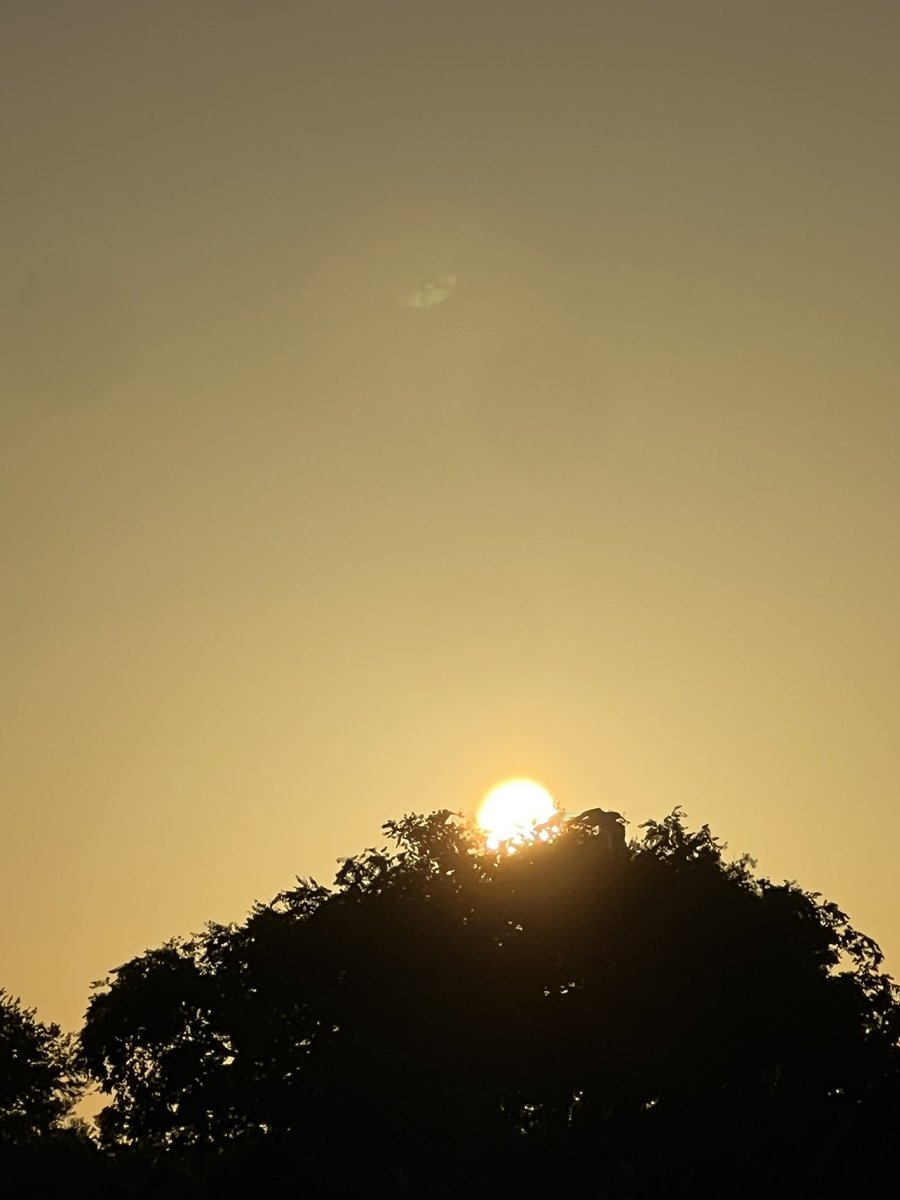 alonevr999's tweet photo. I love taking pics for real, it’s like therapy honestly. #sunpics #sun #NaturePhotography https://t.co/1SvsRab1XO