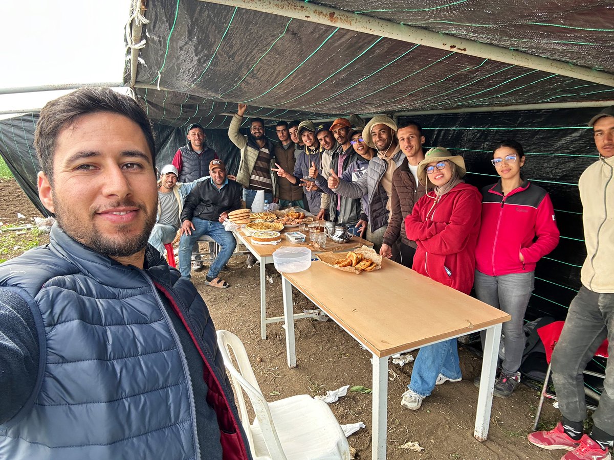 BOUHLAL Outmane (@bouhlaloutmane) on Twitter photo Under <a href="/Root2Res/">Root2Res</a> at <a href="/ICARDA/">ICARDA</a>, successfully completed #Shovelomics phenotyping of 600 #fababean plots! 🫘💪 Exploring diversity of the hidden half of the plant
Big shoutout to the amazing team! <a href="/ZDagdad/">Zeineb DAGDAD</a> 👏🌱 #FabaBean
<a href="/Visio80/">Andrea Visioni</a>
<a href="/Fmaalouf71Fouad/">fouad maalouf</a>
<a href="/ShivKAgrawal/">Shiv Agrawal</a> Under <a href="/Root2Res/">Root2Res</a> at <a href="/ICARDA/">ICARDA</a>, successfully completed #Shovelomics phenotyping of 600 #fababean plots! 🫘💪 Exploring diversity of the hidden half of the plant
Big shoutout to the amazing team! <a href="/ZDagdad/">Zeineb DAGDAD</a> 👏🌱 #FabaBean
<a href="/Visio80/">Andrea Visioni</a>
<a href="/Fmaalouf71Fouad/">fouad maalouf</a>
<a href="/ShivKAgrawal/">Shiv Agrawal</a>