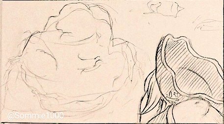 @huwa_ro ほんとは違う理由でしたが別バージョンも描いてまして☺️銀パロです 