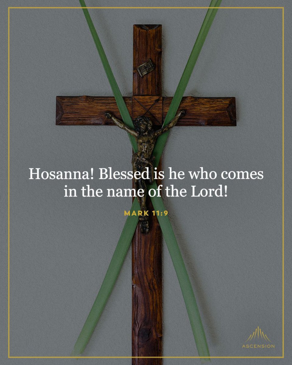 Happy Palm Sunday!

As we begin Holy Week, may your heart be united with Christ in his Passion.