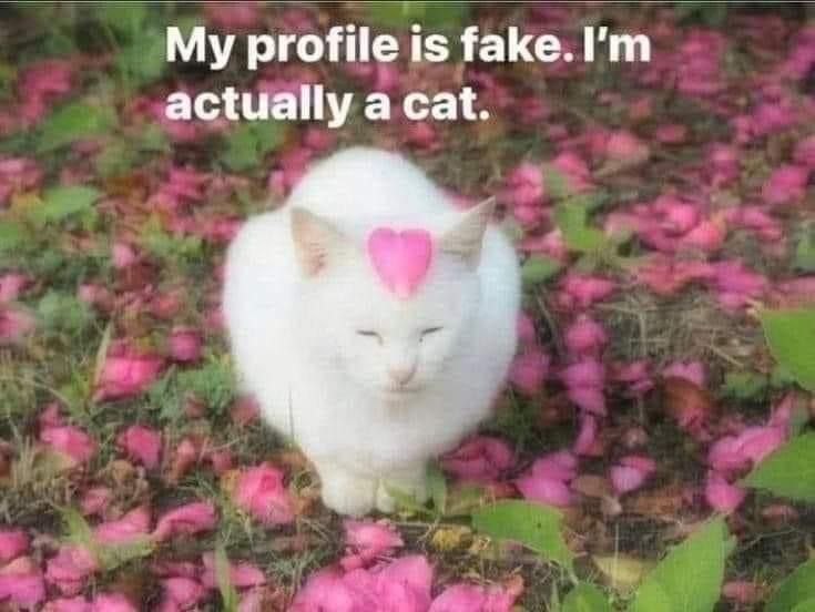 adorabledaiIy's tweet image. 