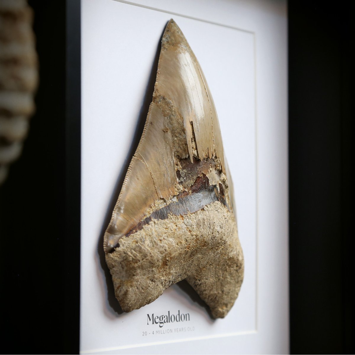 CuratedStudio tweet media