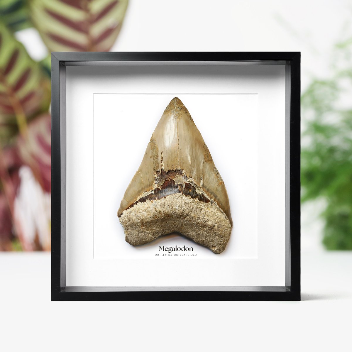 CuratedStudio tweet media