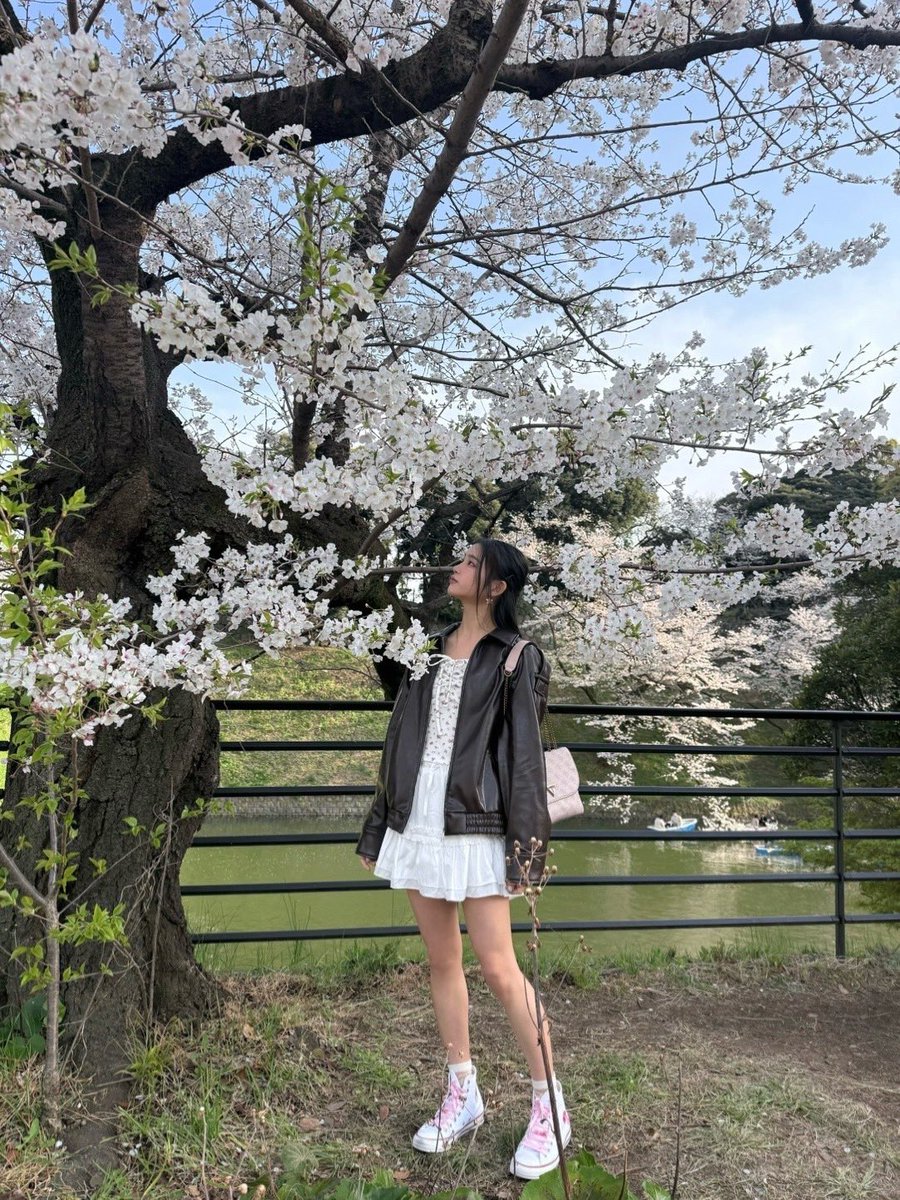 official__ME_I_'s tweet photo. 自分で行った初めてのお花見🌸
めちゃくちゃ綺麗だった〜！もう葉桜もあるね、、はやい！！
📸byなの🫶🏻

#MIU 
#ME_I #ミーアイ https://t.co/FjlYX6Vzgq