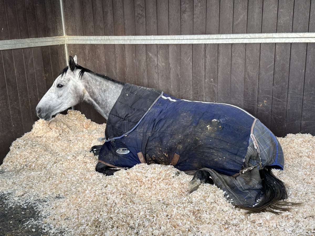 Fergal O'Brien Racing tweet media