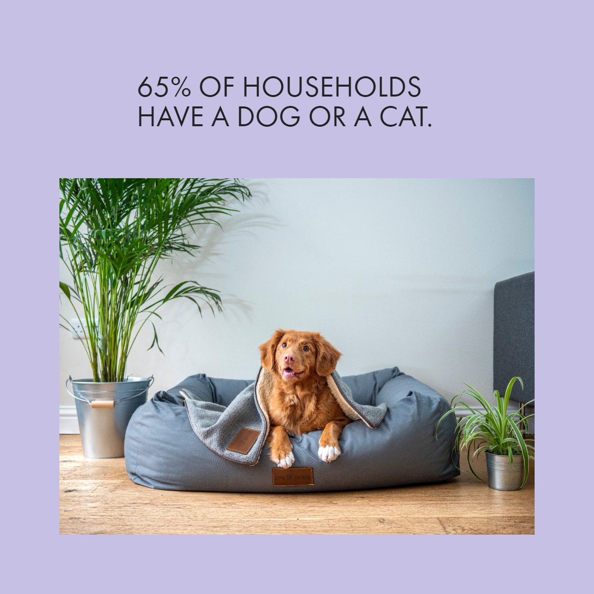AJRSellsNaples's tweet photo. If you are a pet lover, you must have one or in some cases both 😁...

#fact #realestate #dogs #cats #petlover https://t.co/DYv0HbFwAF