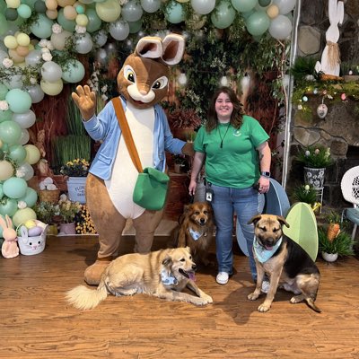Dixiegal_91's tweet photo. #NewProfilePic https://t.co/FSkkJFayxh