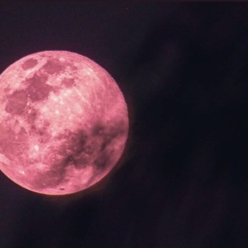 아름답네요.. 여러분 이게 핑크문이라고 해요.. 다들 하늘을 봐주시겠어요.. 

아아~~ 이런 순간을 달링과 같이 보지 않은 것이 아쉬워요