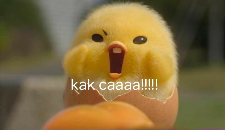 gee ⊹.˚ tweet media