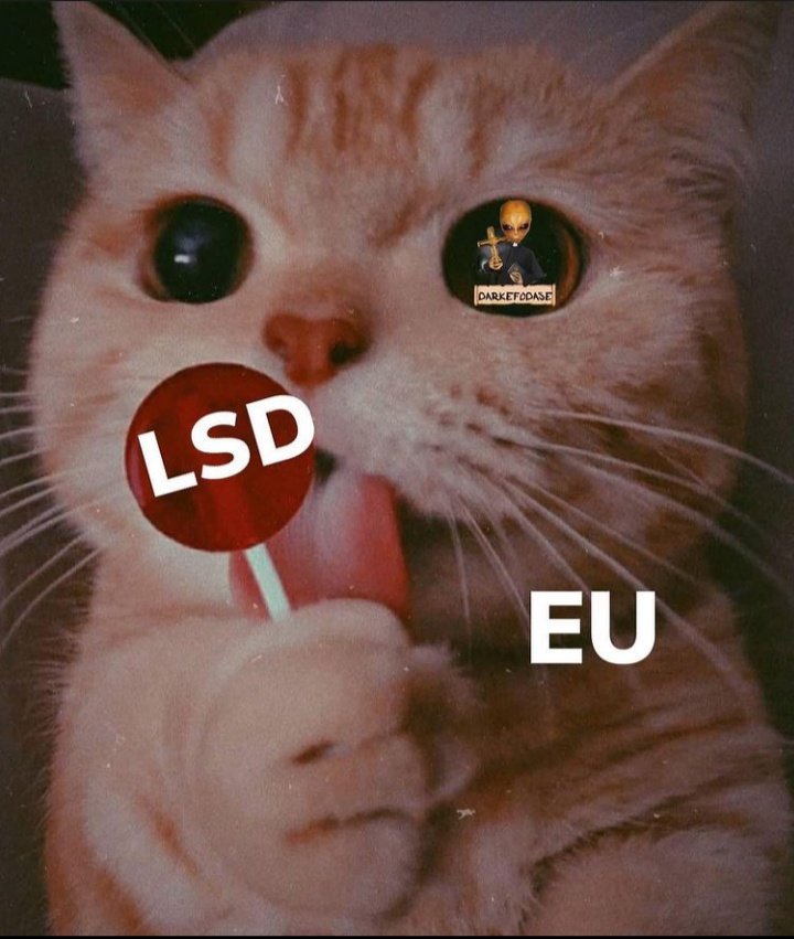 BIKE 100 YEARS (@bike1ooyears) on Twitter photo 