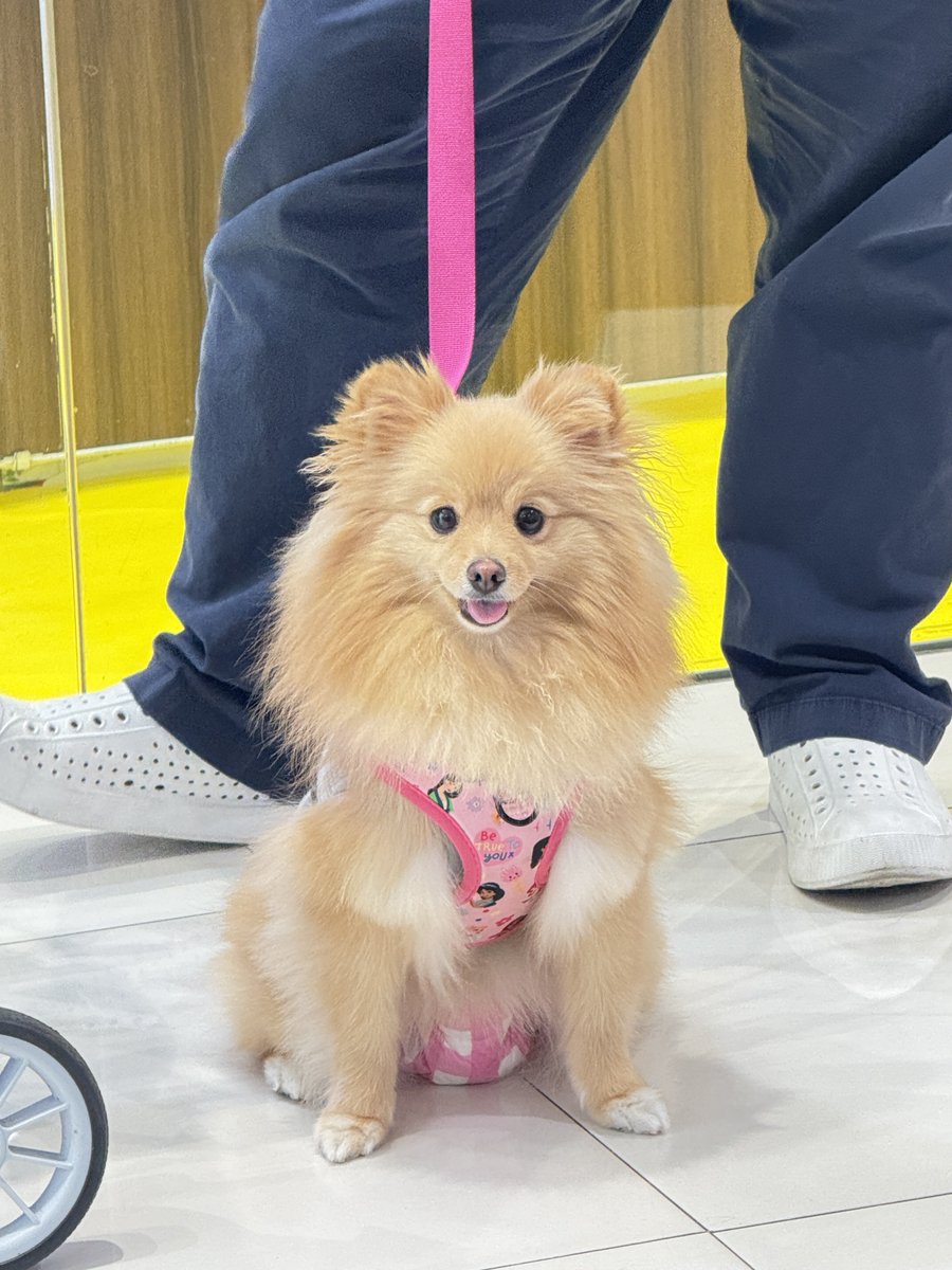 Sundate with this bb who's pretending to be a "big" guard dog to her other mom at the mall. HAHAHAHAHAAHAHAHA